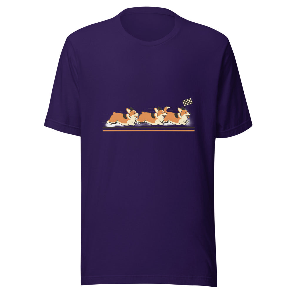 corgi race - 4166