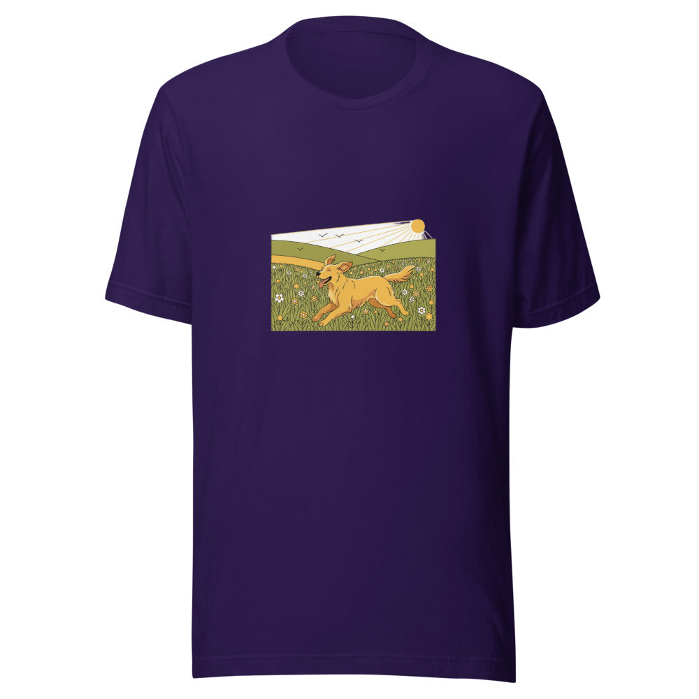field golden retriever - 4166
