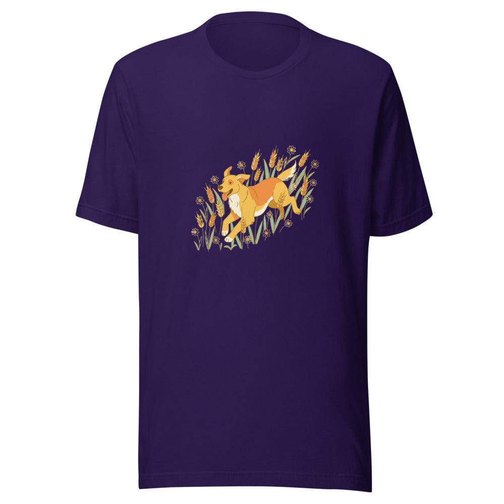 field golden retriever - 4166