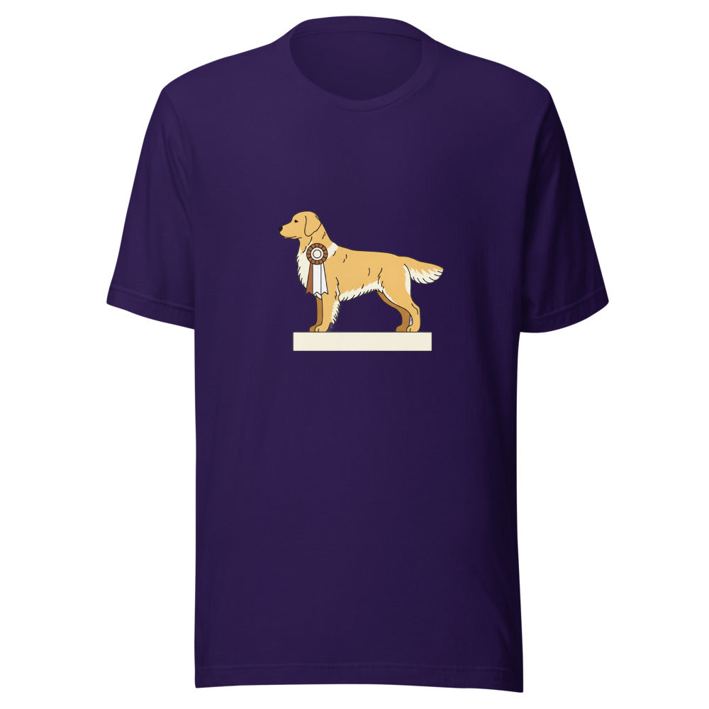 show golden retriever - 4166