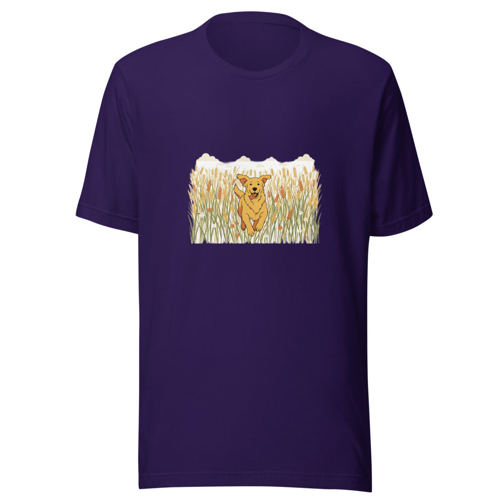 field golden retriever - 4166