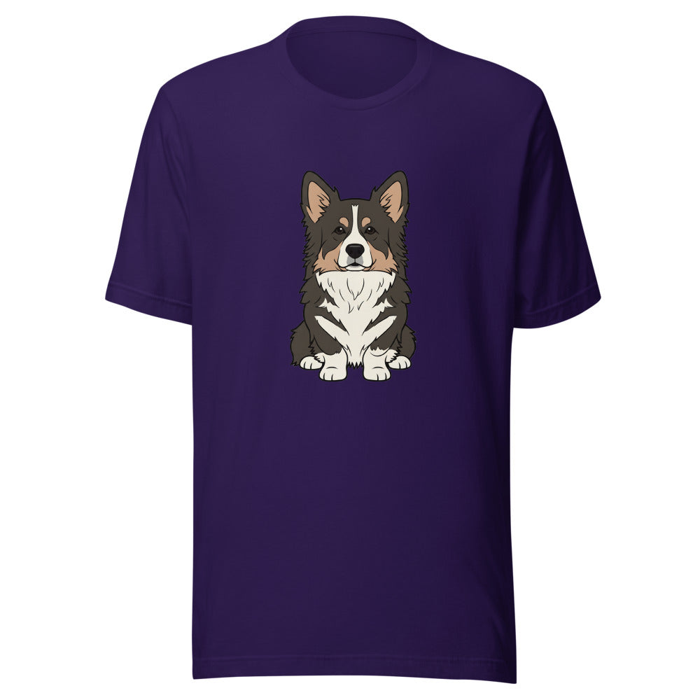 newfoundland corgi mix - 4166