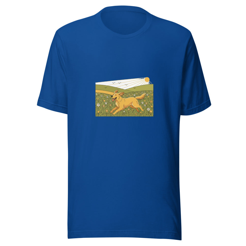 field golden retriever - 4171