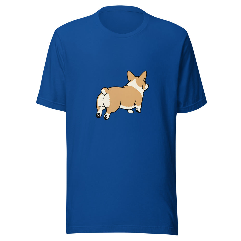 pembroke corgi - 4171