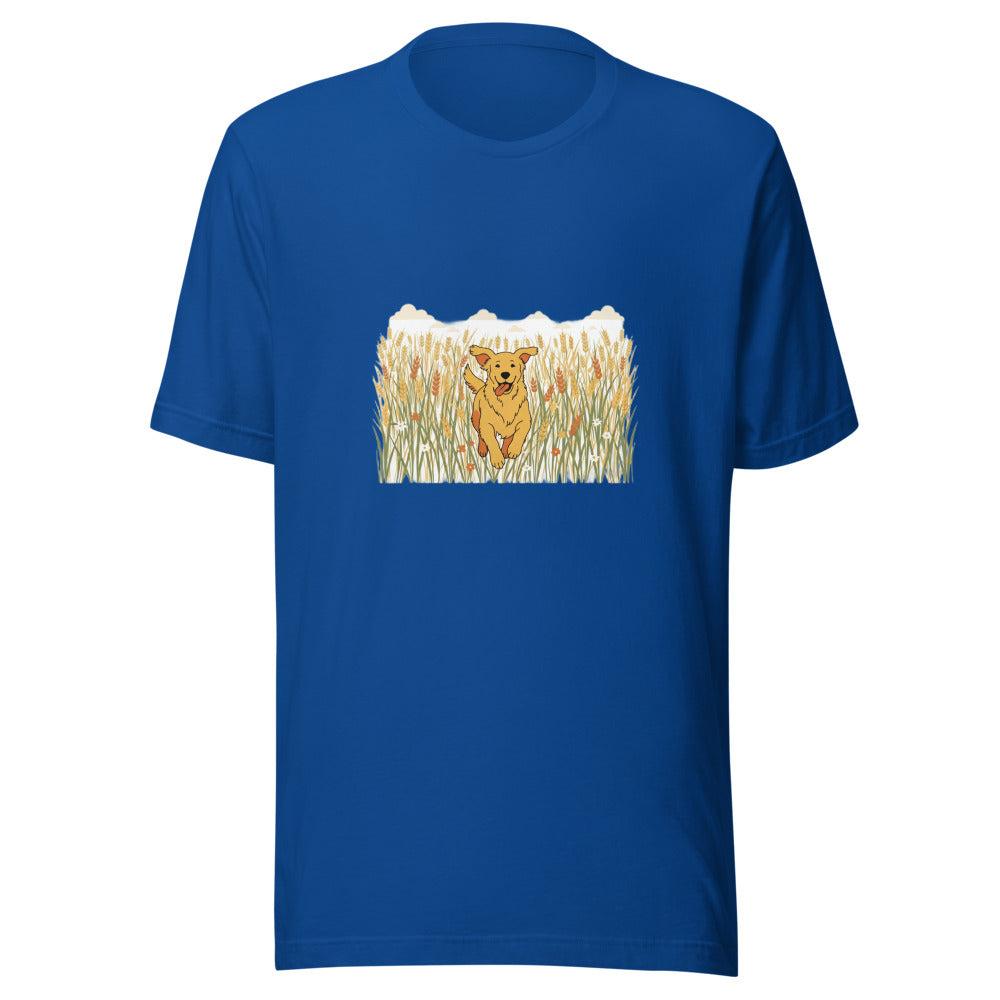 field golden retriever - 4171