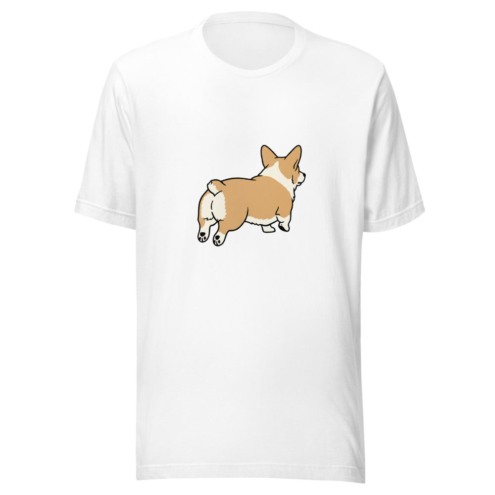 pembroke corgi - 4011