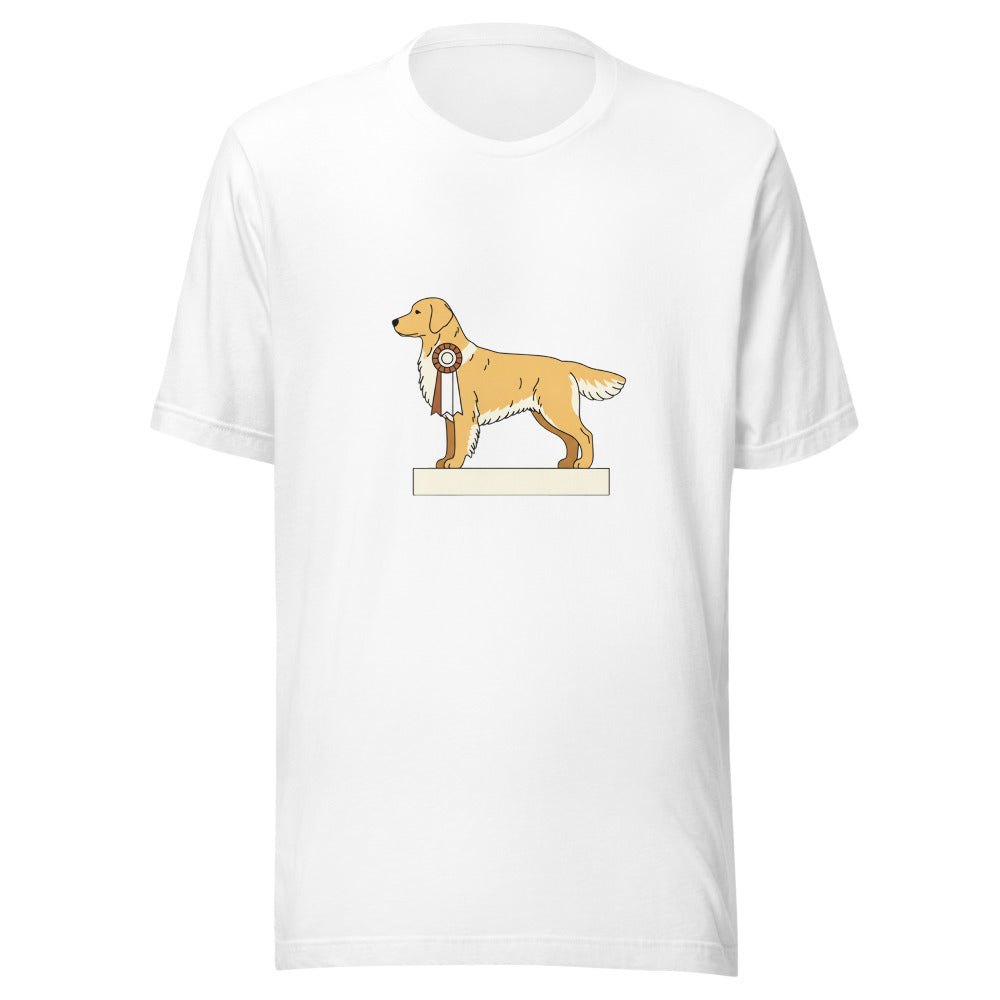 show golden retriever - 4011