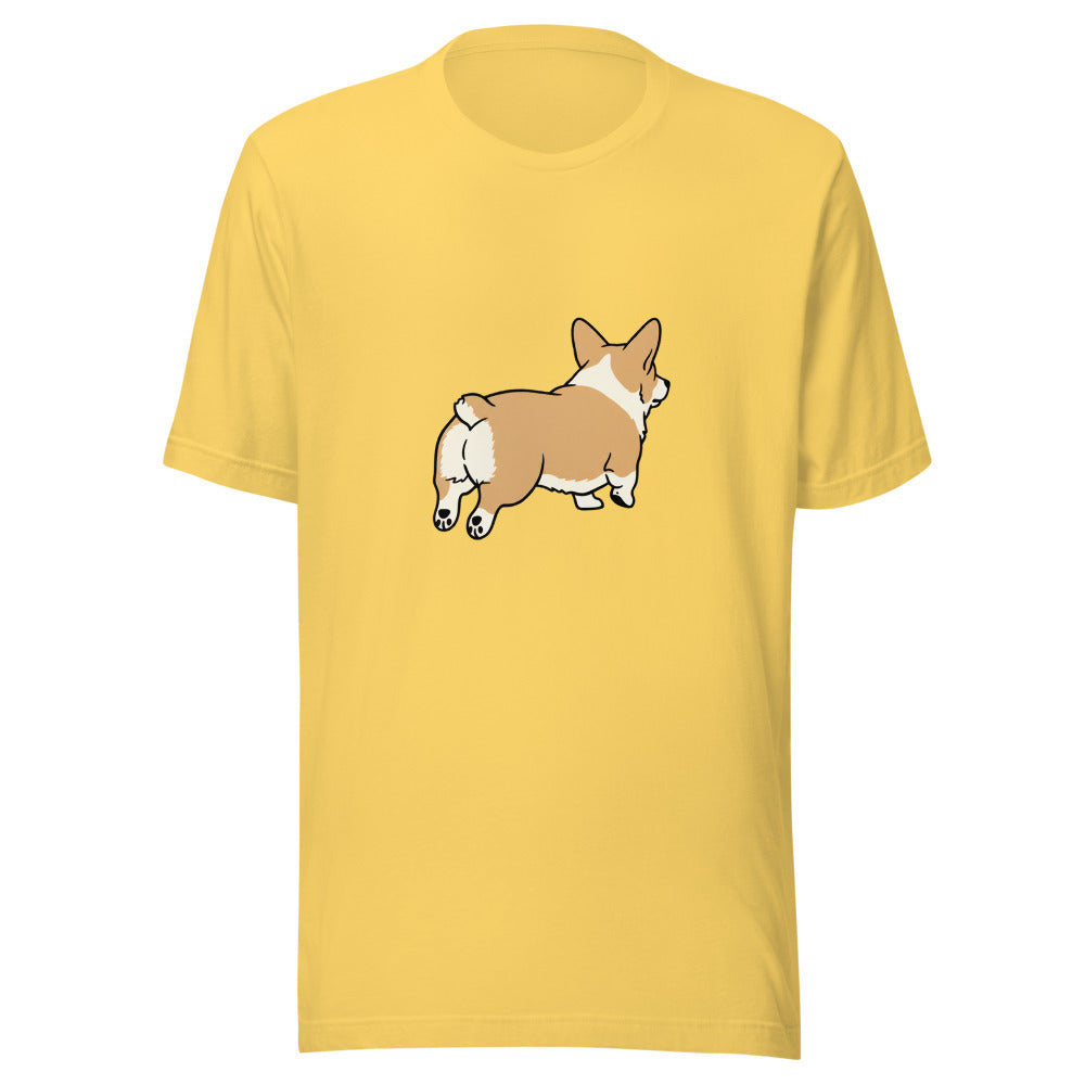 pembroke corgi - 4181