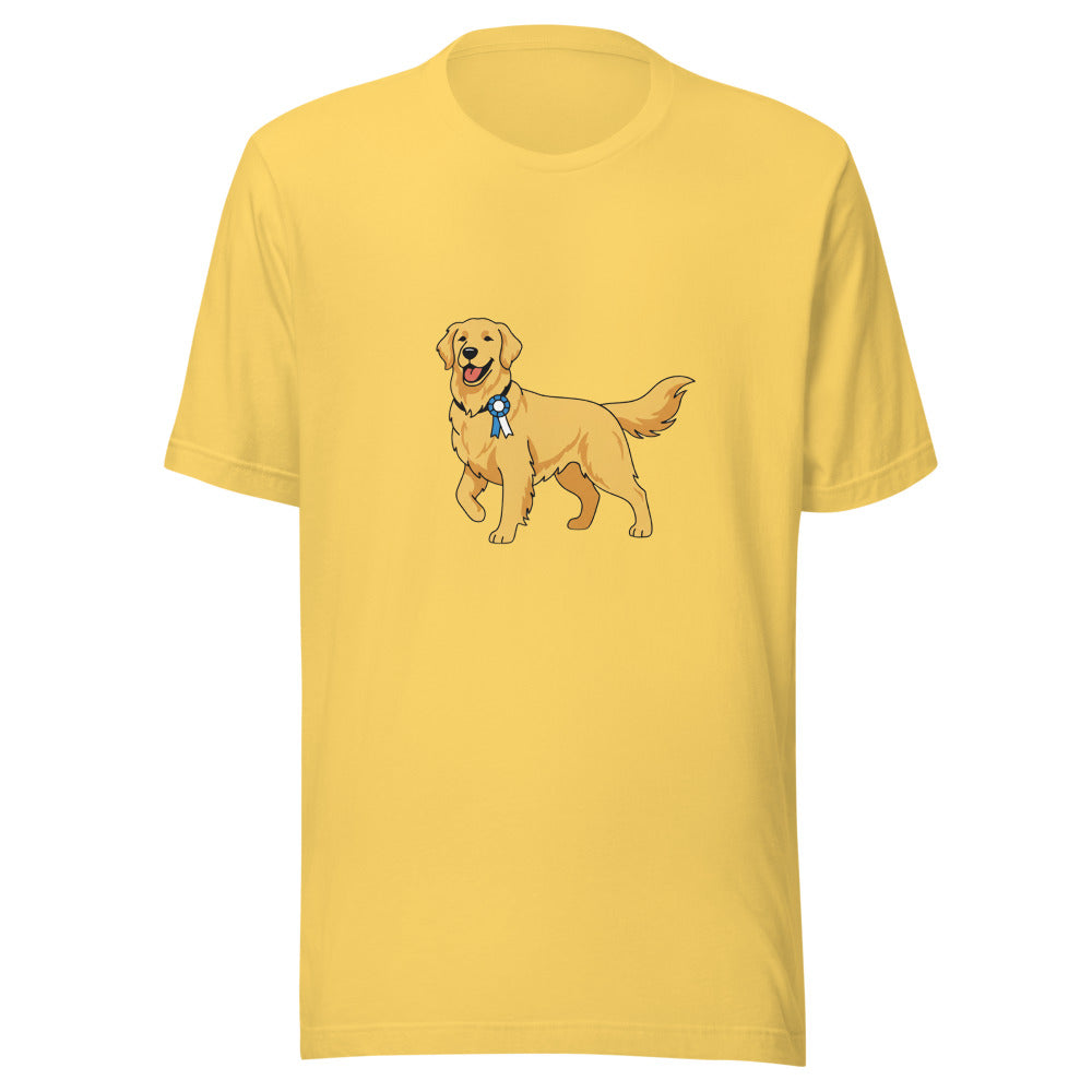 show golden retriever - 4181