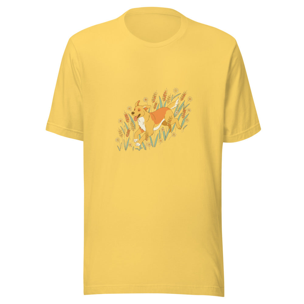 field golden retriever - 4181
