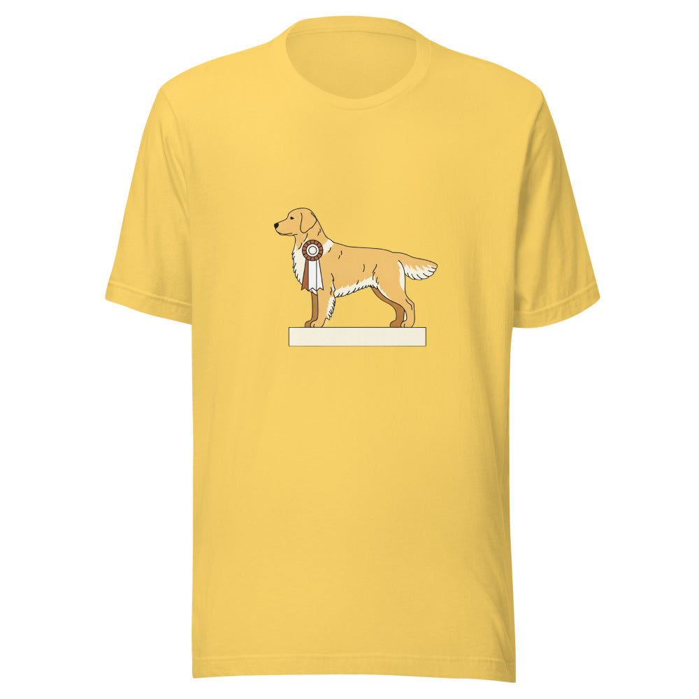 show golden retriever - 4181