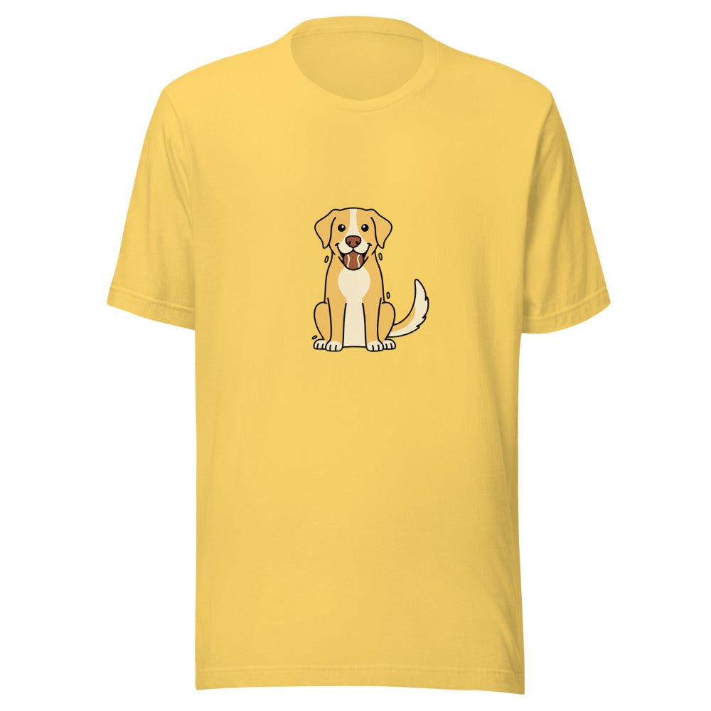 labrador retriever - 4181