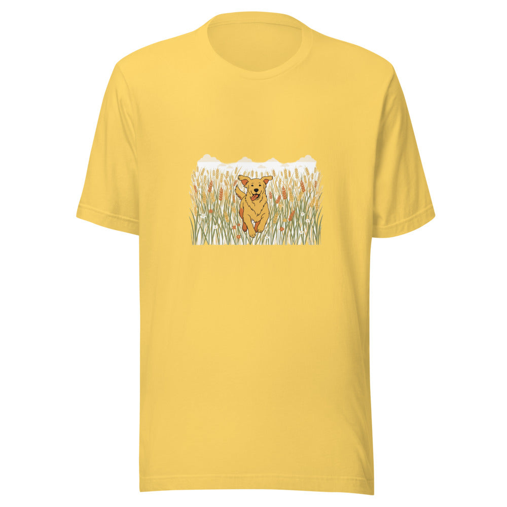 field golden retriever - 4181