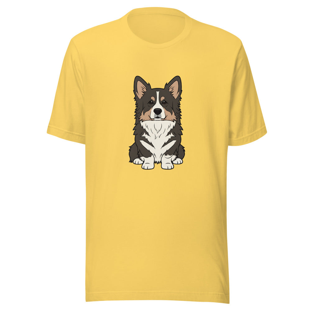 newfoundland corgi mix - 4181